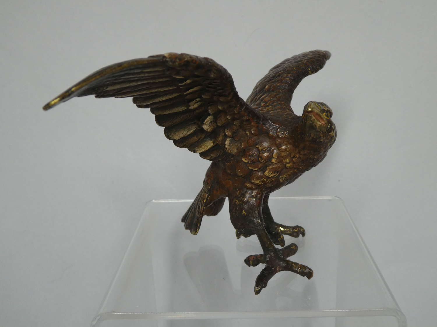 Franz Bergmann cold painted bronze figure of an Eagle