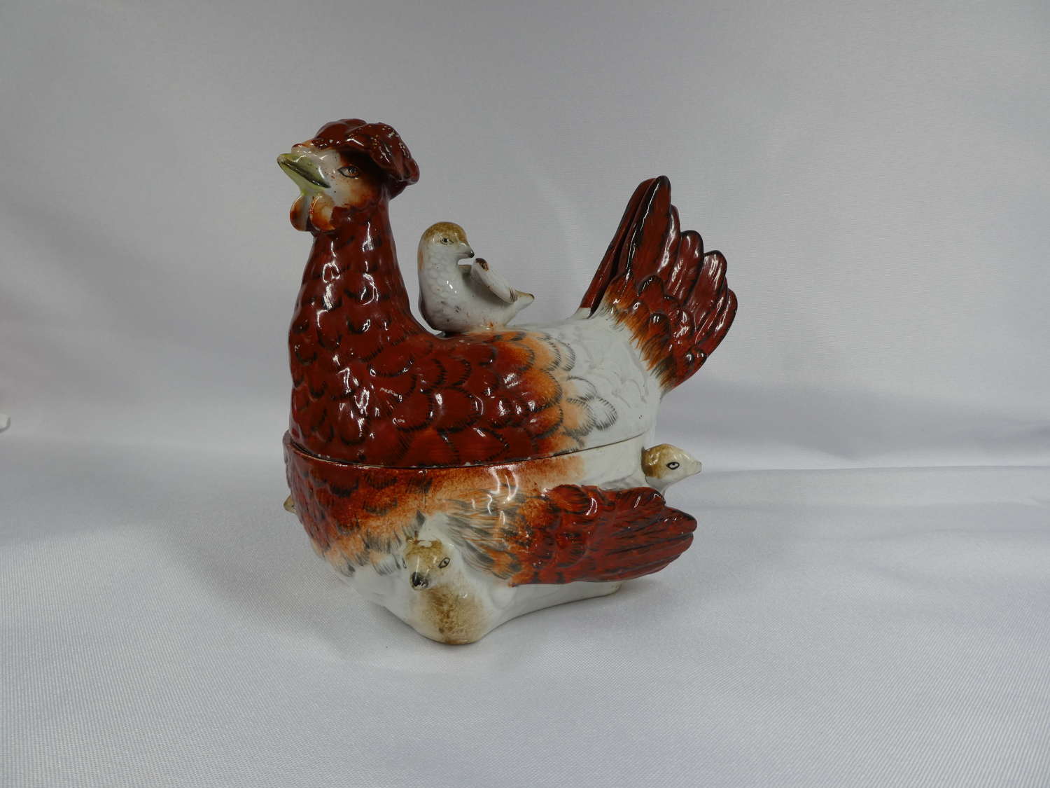 Staffordshire hen on nest with multiple chicks