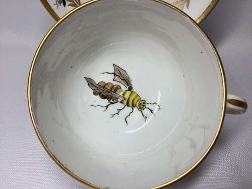 19TH CENTURY DERBY STYLE PORCELAIN TEA CUP AND SAUCER