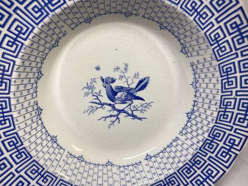 BLUE & WHITE DISH - ORNITHOLOGY